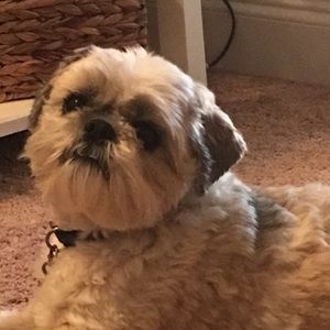 Meet your Posher, Darlene